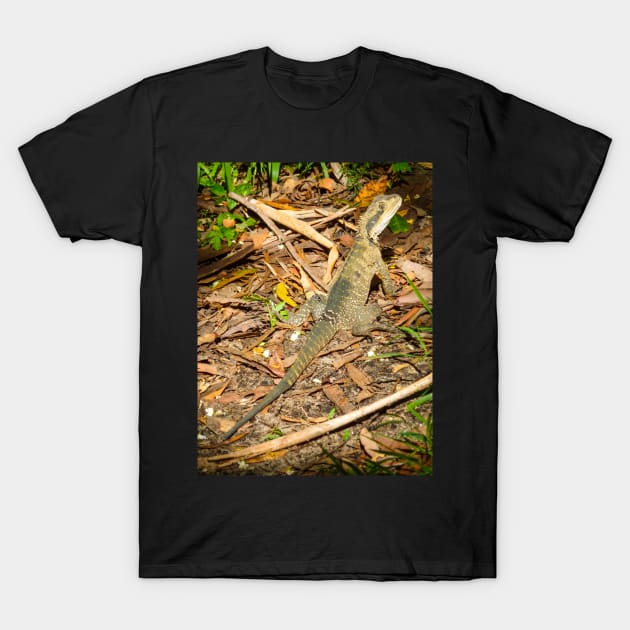 Australian Water Dragon T-Shirt by Upbeat Traveler